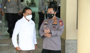 Lliga 1 dan LIga 2